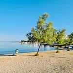 Rajkovic *