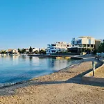 Rajkovic *